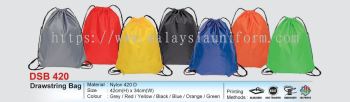 DSB 420 Drawstring Bag (i)