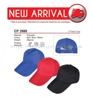 CP 3988 5 Panel Cap