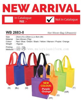 WB 2683-II Non Woven Bag (A)