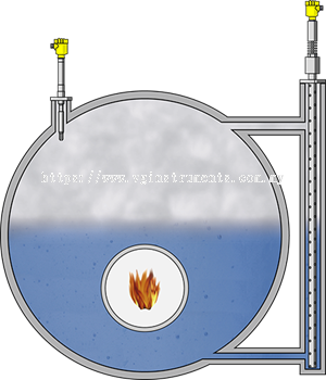 Level measurement and point level detection in process steam generation