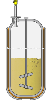 Level measurement in a reactor