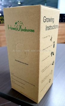 Kraft Paper | Offset Corrugated Box 