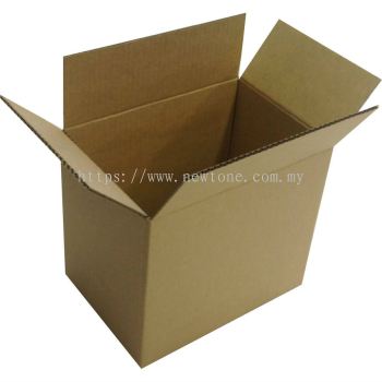 Corrugated Carton 