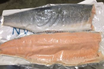 Frozen Salmon Fillet (Trim C) (From Chile)