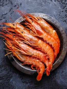 Cooked Prawn Size 31/40 (Head On, Shell On, Tail On) (1kg/box)