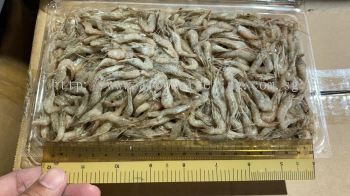 Frozen River Shrimp / Kawa Ebi 