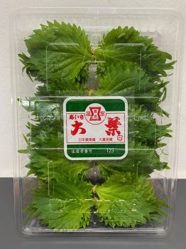 Arco Marketing Pte Ltd : Fresh Perilla Leaves / Ohba Shiso (100pcs/pkt) (1 Week Advance Order Required)