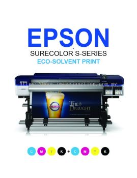 EPSON SC-S60670