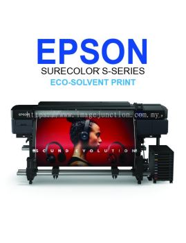 EPSON SC-S80670L (Bulk Ink)
