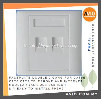 Faceplate Double 2 Gang cat5e for Cat5e Cat6 Cat3 Telephone Internet Modular Jack use 3x3 Inch DIY Easy to Install FP2MJ