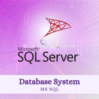ݿϵͳ - MS SQL