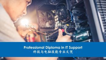 Professional Diploma in IT Support （30% Online Learning, 70% Pratical）