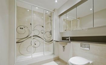 Shower Enclosure Divider