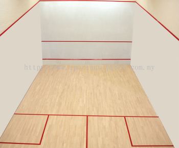 Squash Wall Plaster System