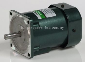 IHT9PG90-22GC MEISTER Speed Control 90W Motor