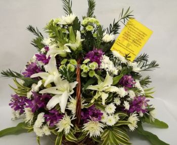 Lily Orchid Basket Arrangement (BA-138)