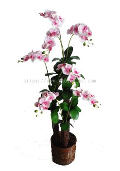 4.5 Ft Orchid Plant (Pink) (FS048)