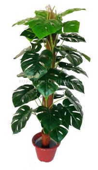 4.5 Ft Split Leaves (FS051)