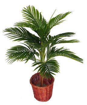 4 Ft Yellow Palm (FS060)