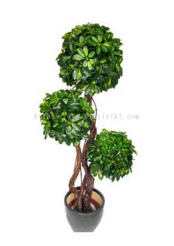 5 Ft Fortune Tree (3H) (FS064)