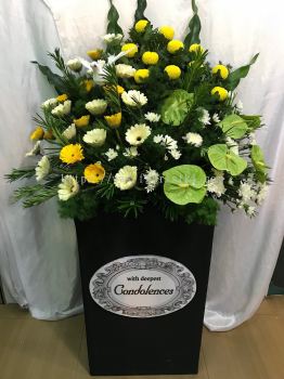 Funeral Arrangment (FA-185)