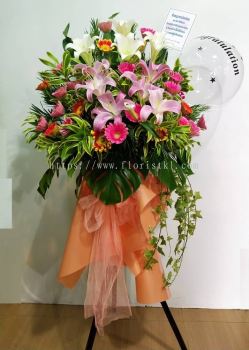 Lily Daisy Grand Opening CA230 floristkl