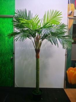 6ft Coconut Tree AP105 floristkl