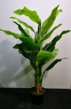 4.5ft Banana Tree AP108 floristkl