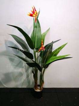 4ft Bird of Paradise AP210 floristkl