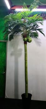 10ft Coconut Tree AP219 floristkl