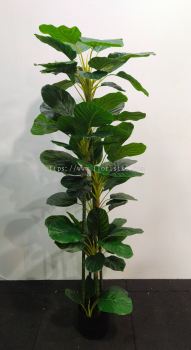 5ft Watermelon Tree APL323 floristkl