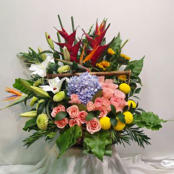 Mixed Flower Basket Arrangement BA209 floristkl