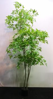 1.8m Heavenly Bamboo QM435 floristkl