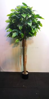 1.5m Happiness Tree AP541 floristkl