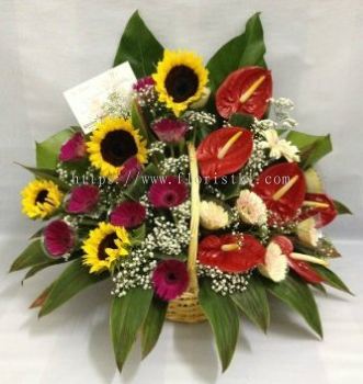 Sunflower, Geberas, Athurium Basket Arrangement (BA-068)