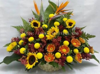 Sunflower, Bird Of Paradise, Geberas Basket Arrangement (BA-086)