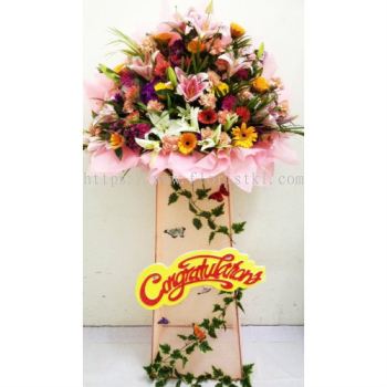 Mixed Flower Congratulations Arrangements (CA-093) 