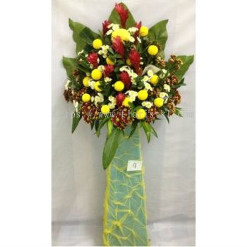 Pingpong, Ginger Congratulations Arrangements (CA-103) 