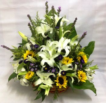 Lily , Sunflower Basket Arrangement (BA-106)