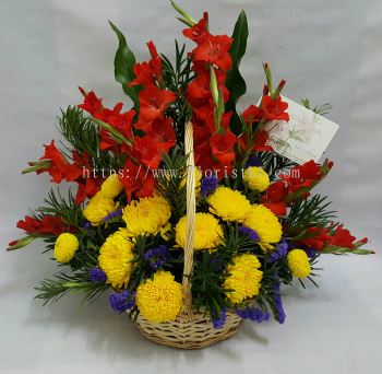 Mixed Flower Basket Arrangement (BA-119)