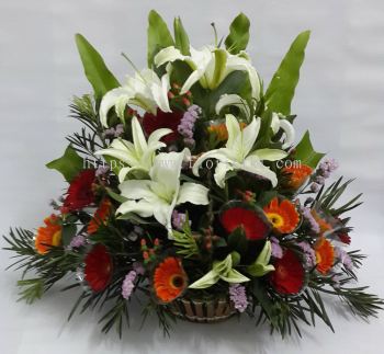 Lily Daisy Basket Arrangement (BA-122)