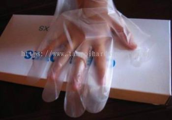 Disposable PE Glove