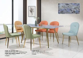 DFG-JG-079D009-4TH-06
