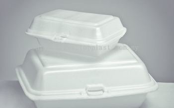 Foam Lunch Box