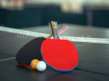 Table Tennis