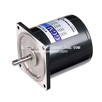 AC Induction Motor 6W