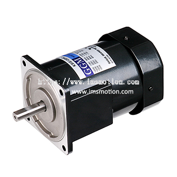 AC Induction Motor 120W