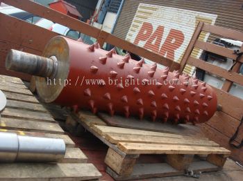SPIKE ROLLER