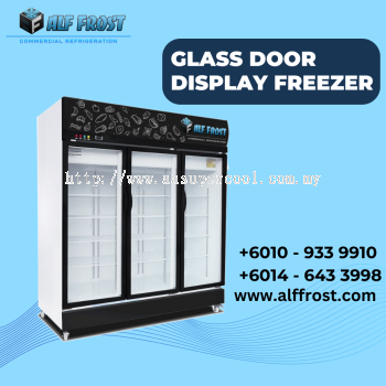 Glass Door Display Freezer (Ready Stock)