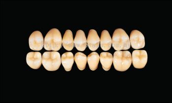 Hard Resin Teeth (M32)